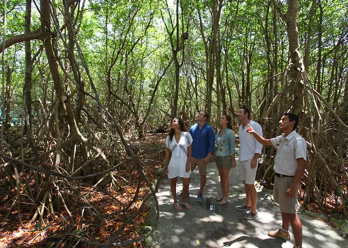 Sandos Caracol Nature & Water Park (adults Only) 5* Playa del Carmen