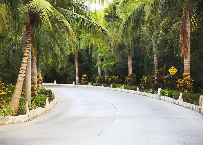 Resort Sandos Caracol Nature & Water Park (adults Only) Playa del Carmen