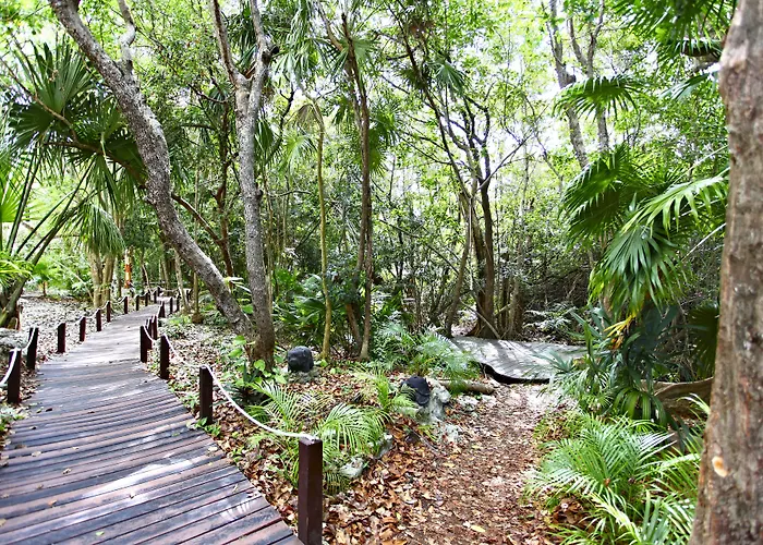 Resort Sandos Caracol Nature & Water Park (adults Only)