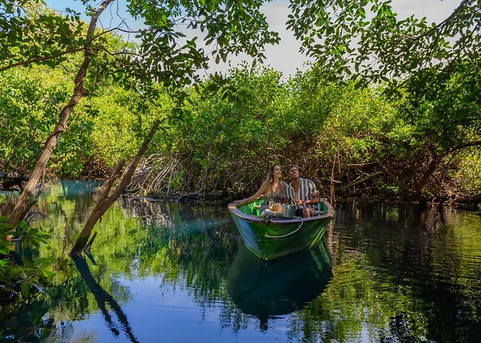 Resort Sandos Caracol Nature & Water Park (adults Only) Playa del Carmen